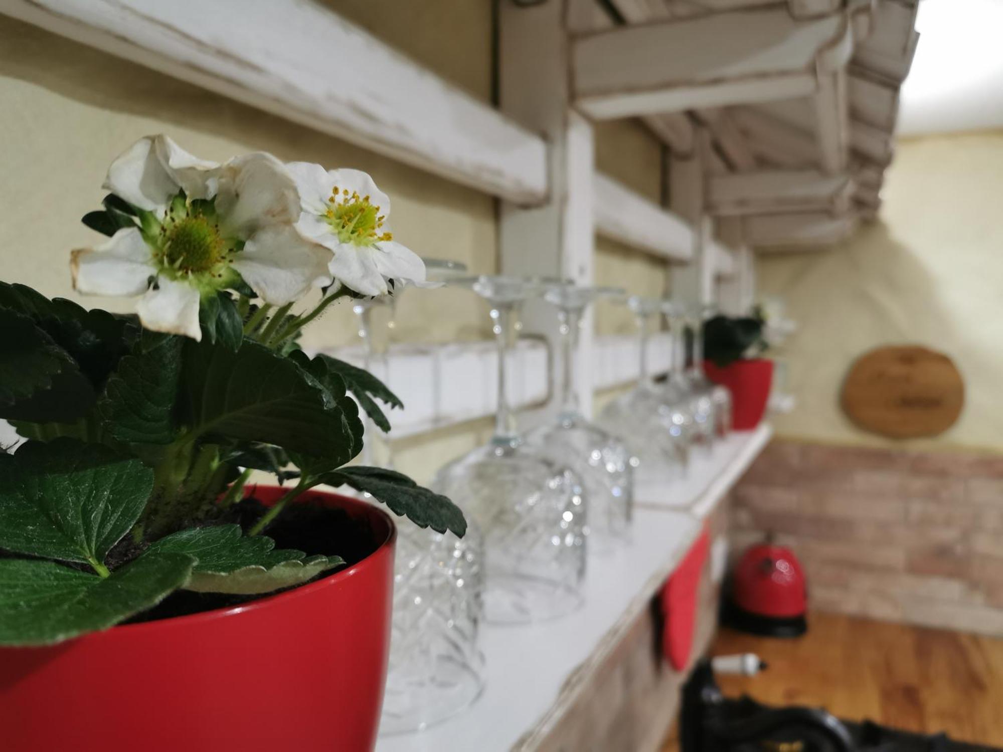 Вилла House Gabrijel With Four Seasons Outdoor Kitchen Блед Экстерьер фото